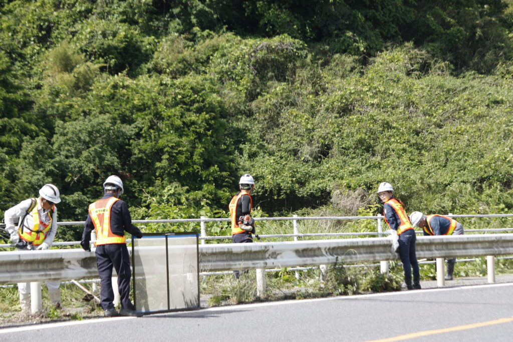 通学路除草ボランティア6